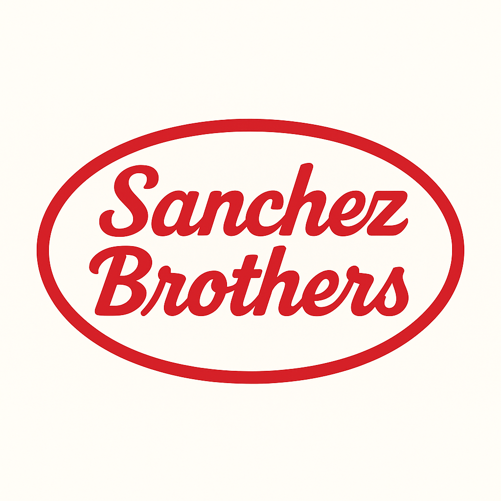 Sanchez Brothers – « I Get My Own Light » : Noise, glitch et liberté rock